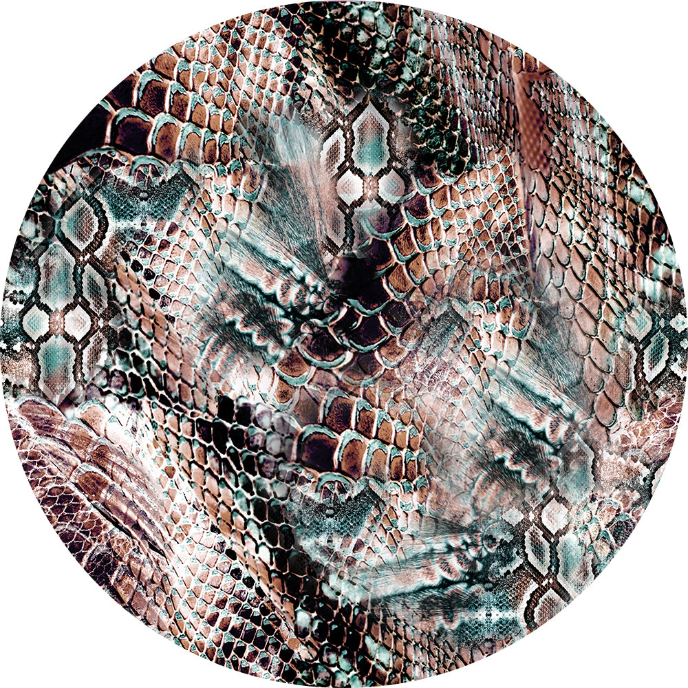 Snake Skin