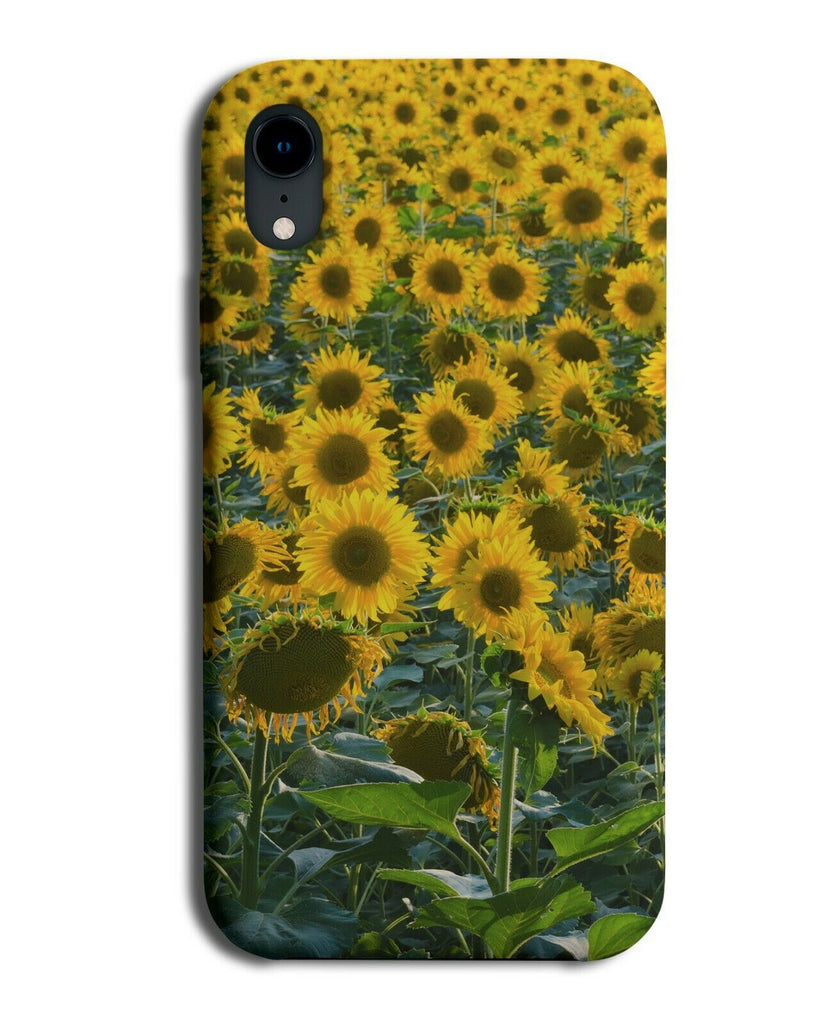 Sunflower Phone Case Cover | Yellow Sunflowers Flower Floral Field Sunset A648