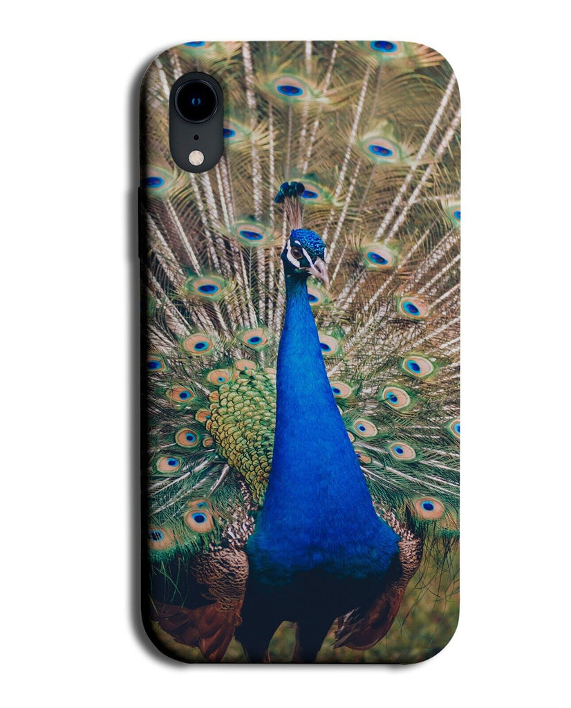 Peacock Picture Phone Case Cover Peacocks Feathers Feather Bird Out Display BG20