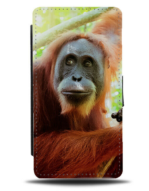 Orangutan Picture Flip Wallet Case Photo Ape Orangutans Photograph Image L033