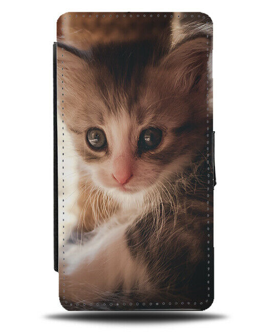 Kitten Real Life Photograph Flip Wallet Case Picture Photo Cat Adorable G706
