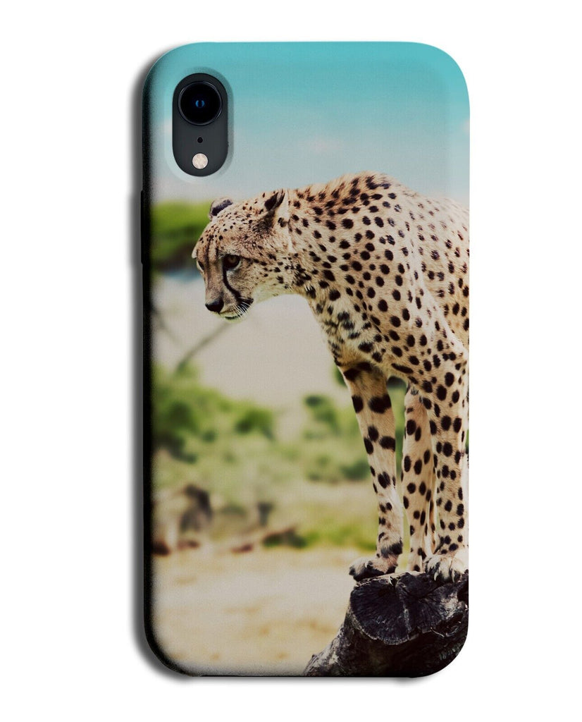 Cheetah In Africa Picture Phone Case Cover Cheetahs Animal Africa Photo DD12