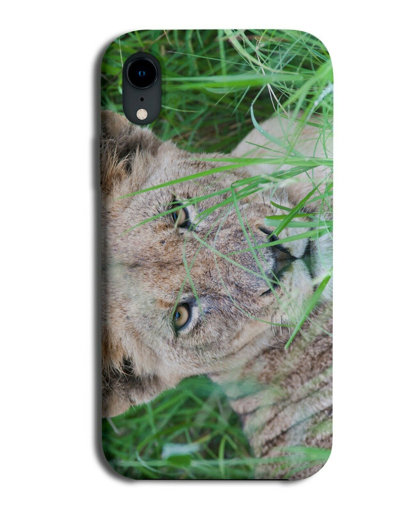 Lion Photograph Phone Case Cover Hunting Lioness Face Lions Grass Leaves H943