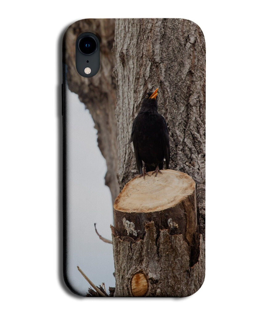 Black Crow Phone Case Cover Raven Ravens Crows Bird Birds Photograph Q989