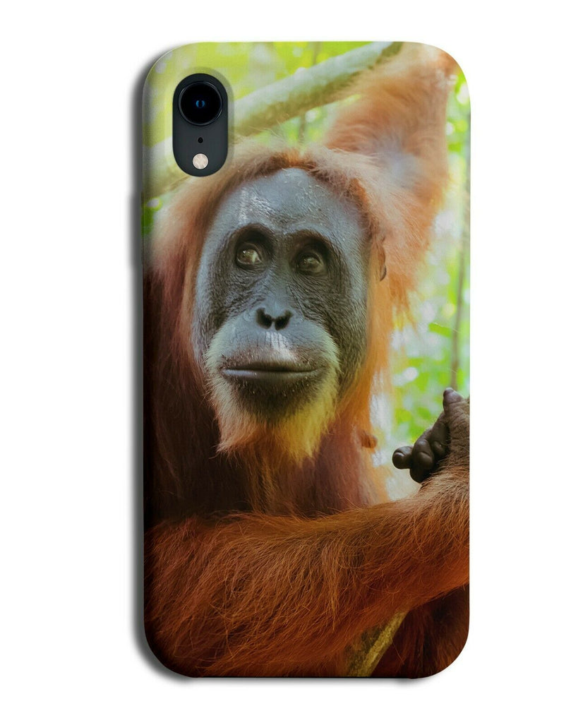 Orangutang Picture Phone Case Cover Photo Ape Orangutangs Photograph Image L033