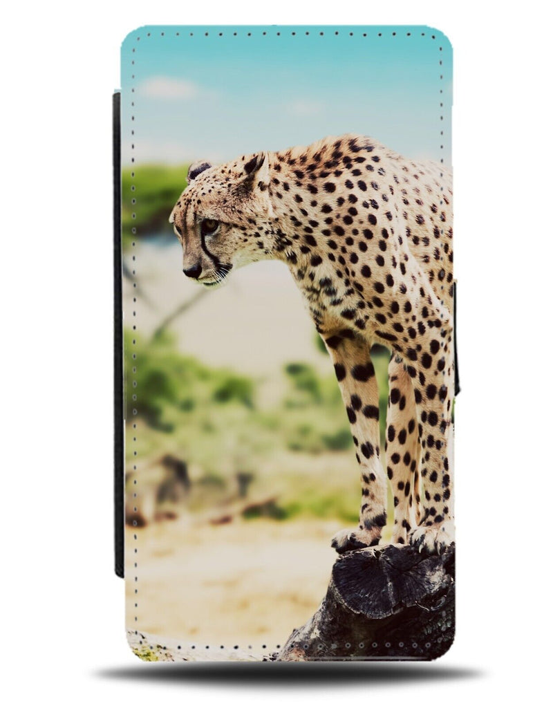Cheetah In Africa Picture Flip Wallet Case Cheetahs Animal Africa Photo DD12