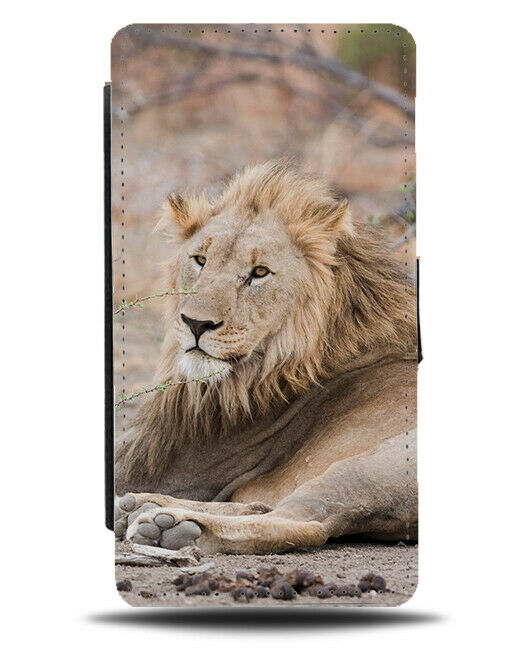 Lion Photograph Flip Wallet Case Lions Face Mane African Picture Safari H903
