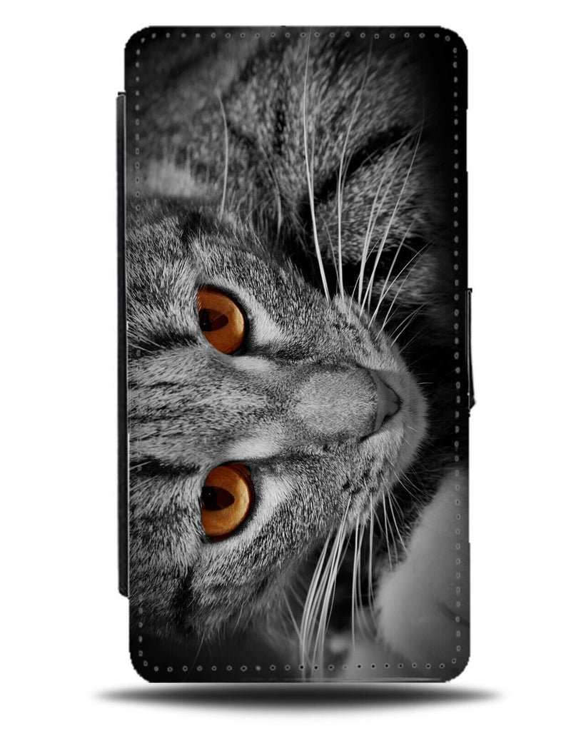 Black and White Novelty Cat Picture Flip Wallet Case Cats Eyes Coloured BG43