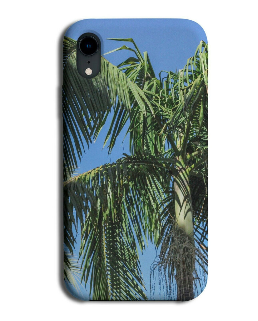 Natural Palm Tree Picture Phone Case Cover Hanging Leaves Leaf Green G918