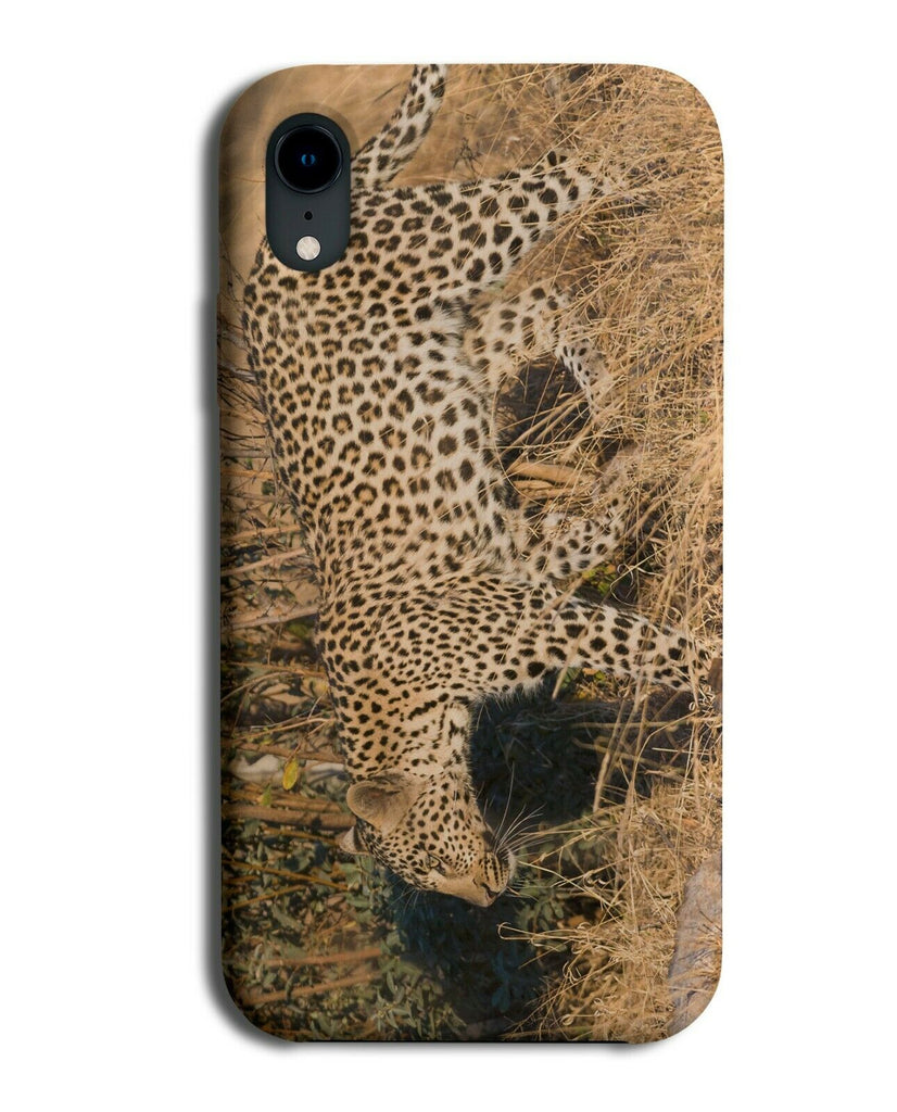 Leopard In The Wild Phone Case Cover Walking Stalking Pattern Print Skin H906