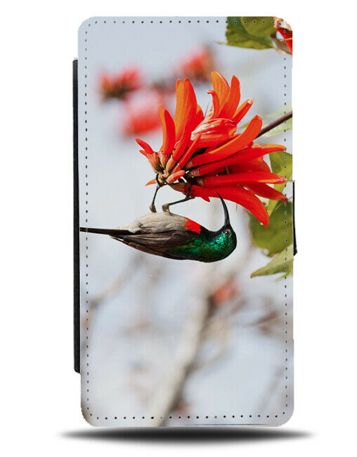 African Wild Bird Flip Wallet Case Birds Birdwatching Birdwatcher H949