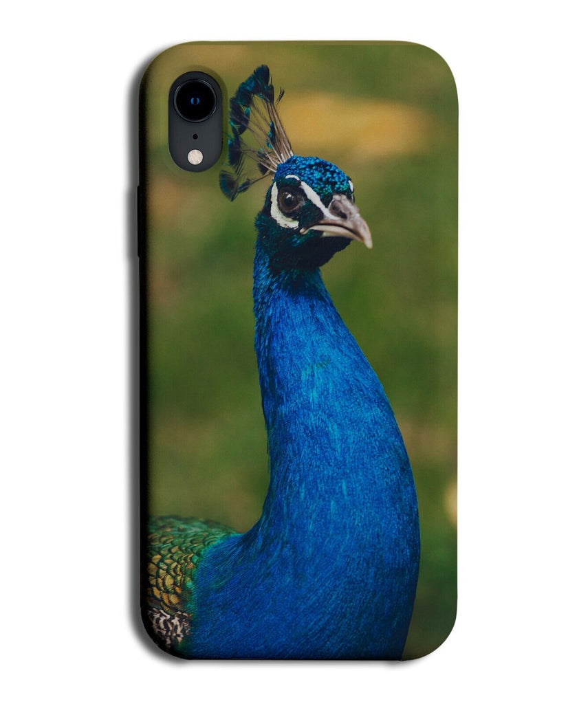 Peacock Face Photograph Phone Case Cover Picture Photo Peacocks Blue Head DH42