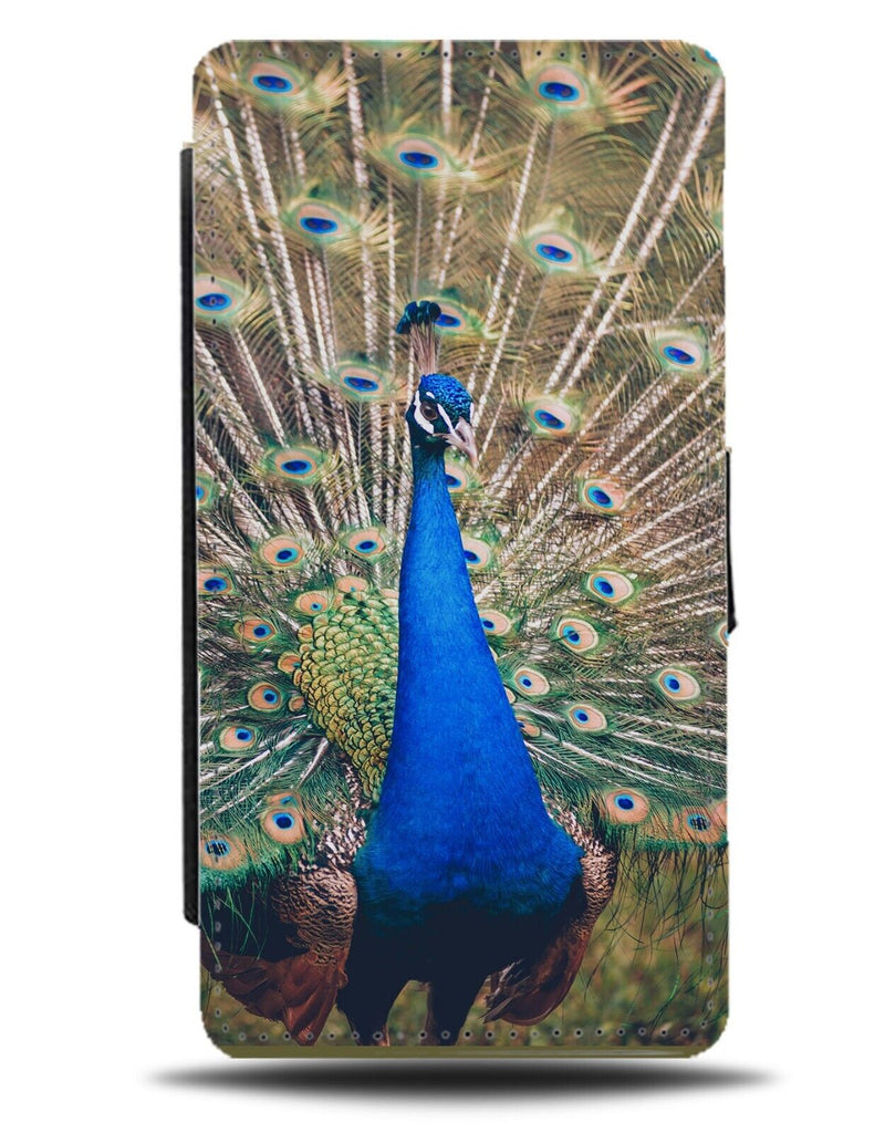 Peacock Picture Flip Wallet Case Peacocks Feathers Feather Bird Out Display BG20