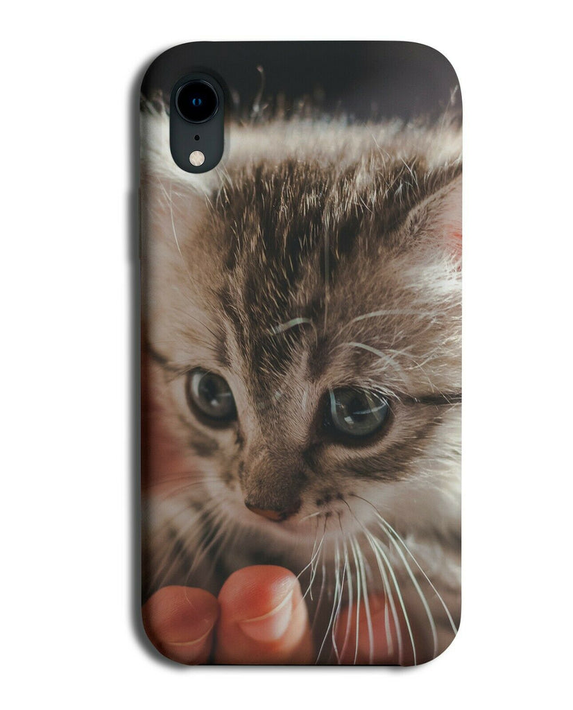 Kitten Photograph Phone Case Cover Pet Pets Baby Tiny Kittens Cat Picture G708