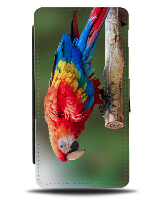 Amazon Parrot Flip Wallet Phone Case Colourful Feathers Parrots Bird Birds D855