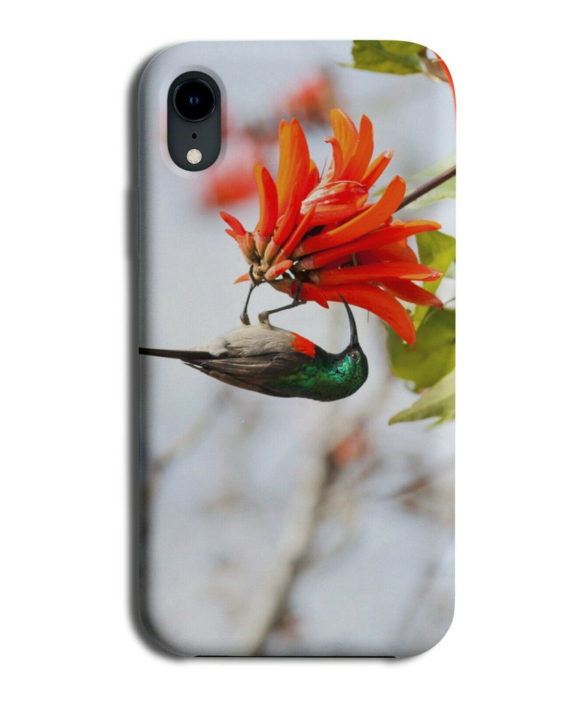 African Wild Bird Phone Case Cover Birds Birdwatching Birdwatcher H949