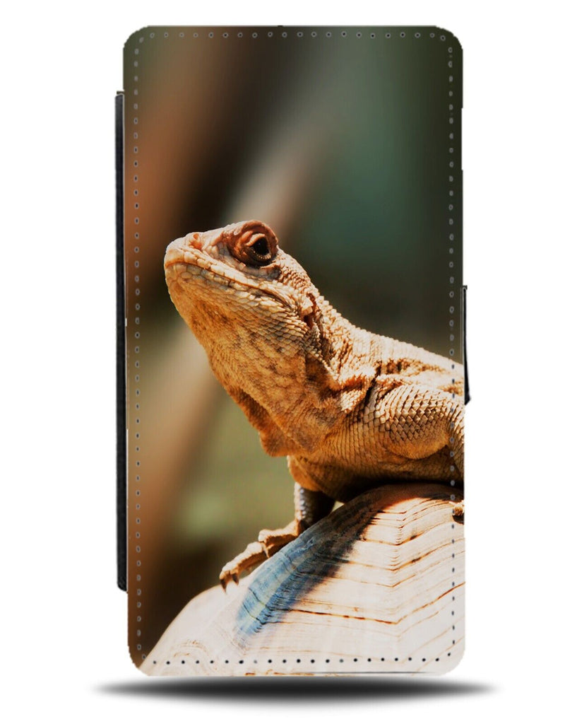 Bearded Dragon Photograph Flip Wallet Case Lizard Lizards Reptilian Sand DD18