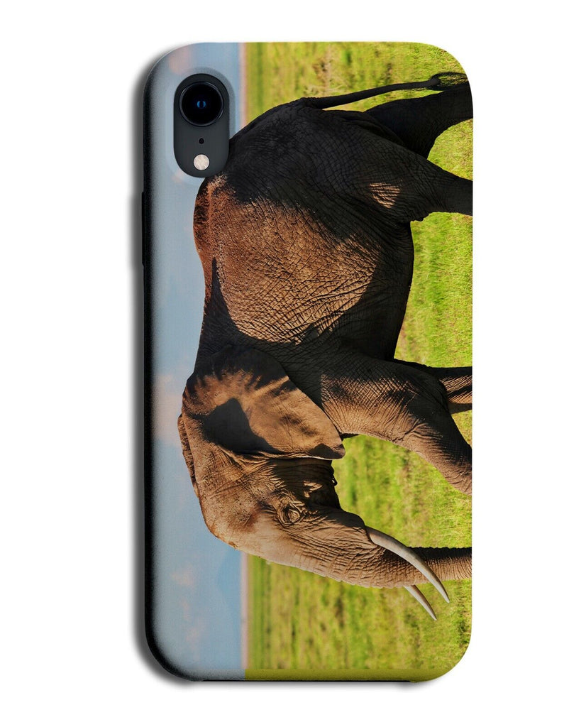 Walking Elephant In The Wild Photograph Phone Case Cover Photography Animal BG61
