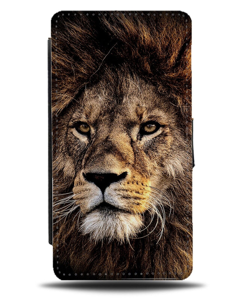 Lions Face Flip Wallet Case Lion Head Picture Photograph Dark Art Animal AB42