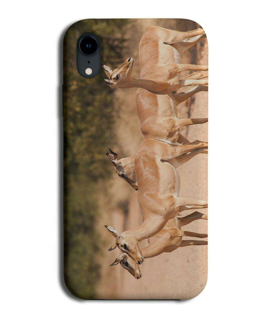 Wild Gazelles Phone Case Cover Gazzelle Gazele Picture Photograph Gift H948