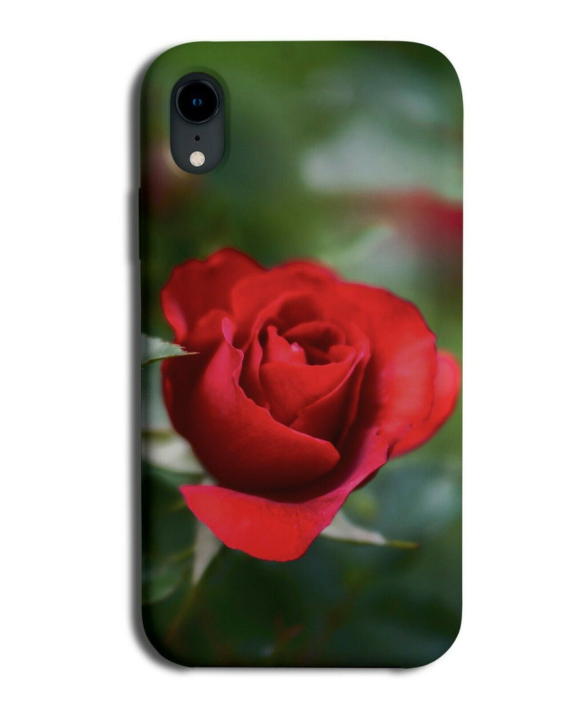 Close Up Red Rose Flower Picture Phone Case Cover Roses Petal Petals Photo G683