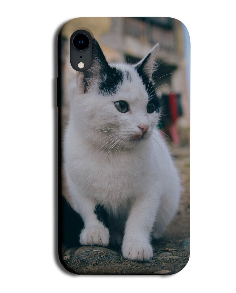 White and Grey Cat Picture Phone Case Cover Photograph Photo Cats Black BF63