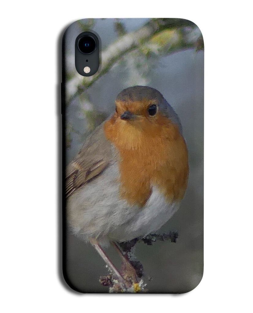 Robin Photograph Phone Case Cover Photographed Photo Robins Bird Red Birdy CX41