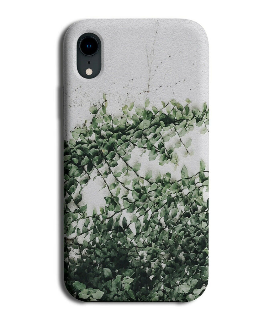 Hanging Leaves Picture Phone Case Cover Basket Plant Plants Photo House G879