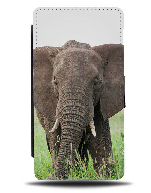 Wildlife Elephant Photography Flip Wallet Case Photo Picture Elephants H942
