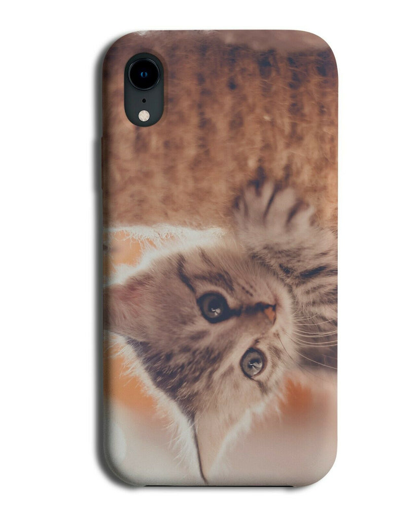Picture Of A Kitten On Phone Case Cover Kittens Cat Cats Pet Photograph G710