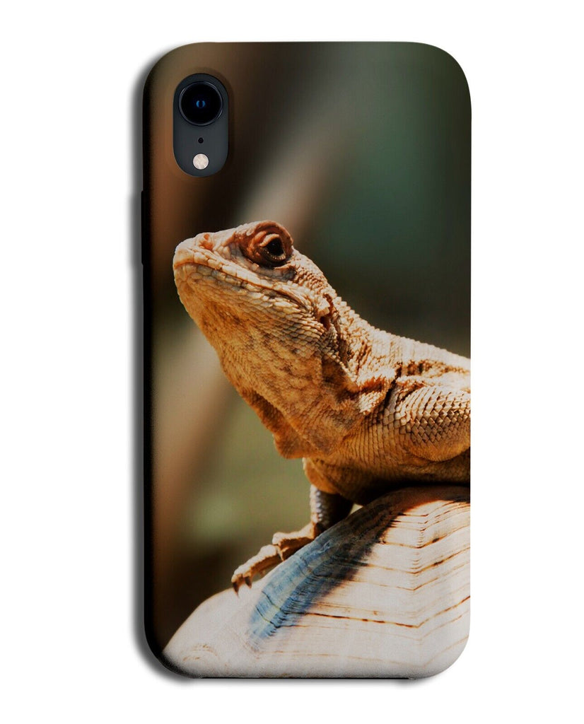 Bearded Dragon Photograph Phone Case Cover Lizard Lizards Reptilian Sand DD18