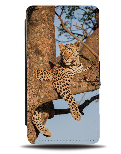 Sleeping Jaguar Leopard Photo Flip Wallet Case Nature Wild Photograph H907