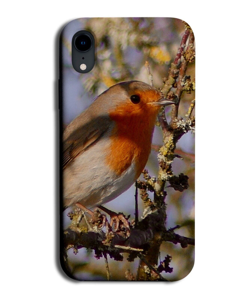Wild Robin Phone Case Cover Robins Red Breasted Photograph Bird Birds Xmas CX71