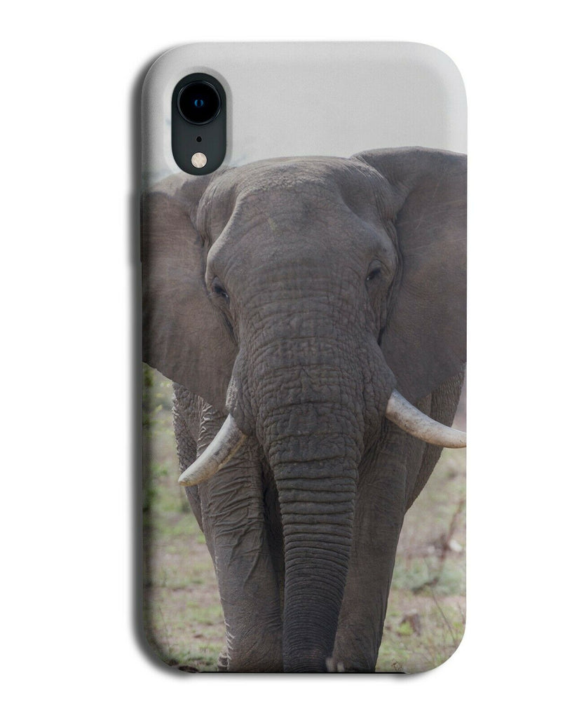 Elephant Real Life Photograph Phone Case Cover Photo Picture Bull Elephants H908