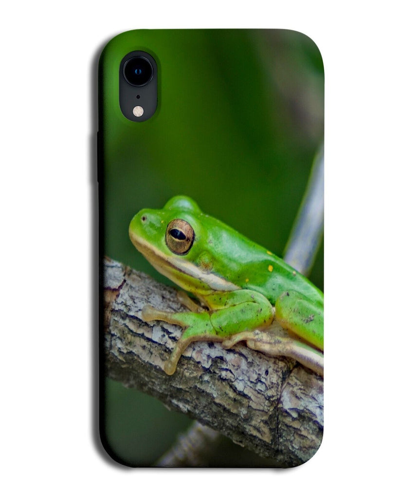 Green Treefrog Phone Case Cover Trees Tree Frog Frogs Amazon Forest Reptile LP17