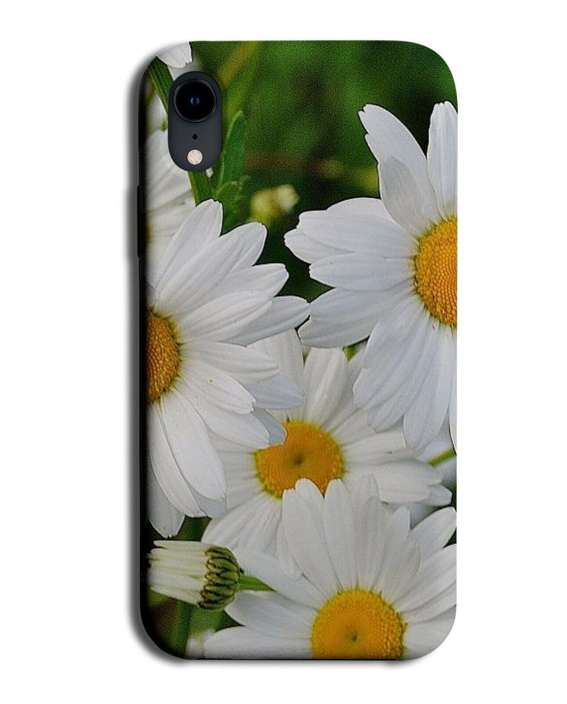 Daisy Photograph Print Phone Case Cover Daisies Daisys Petal Petals Spring AN91