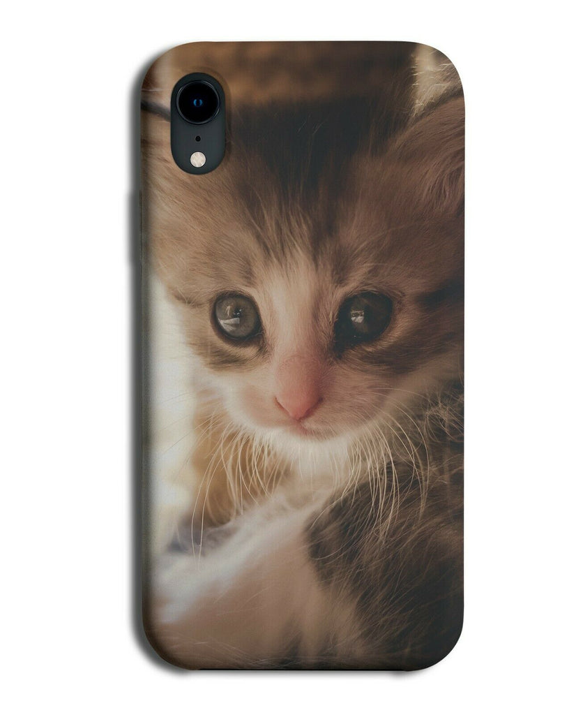 Kitten Real Life Photograph Phone Case Cover Picture Photo Cat Adorable G706