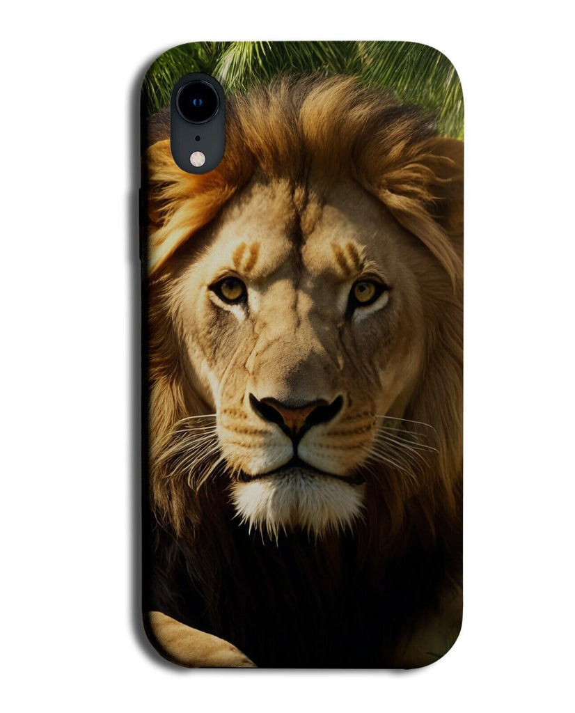 Lion Face Photograph Phone Case Cover Photo Picture Lions African Male DH54