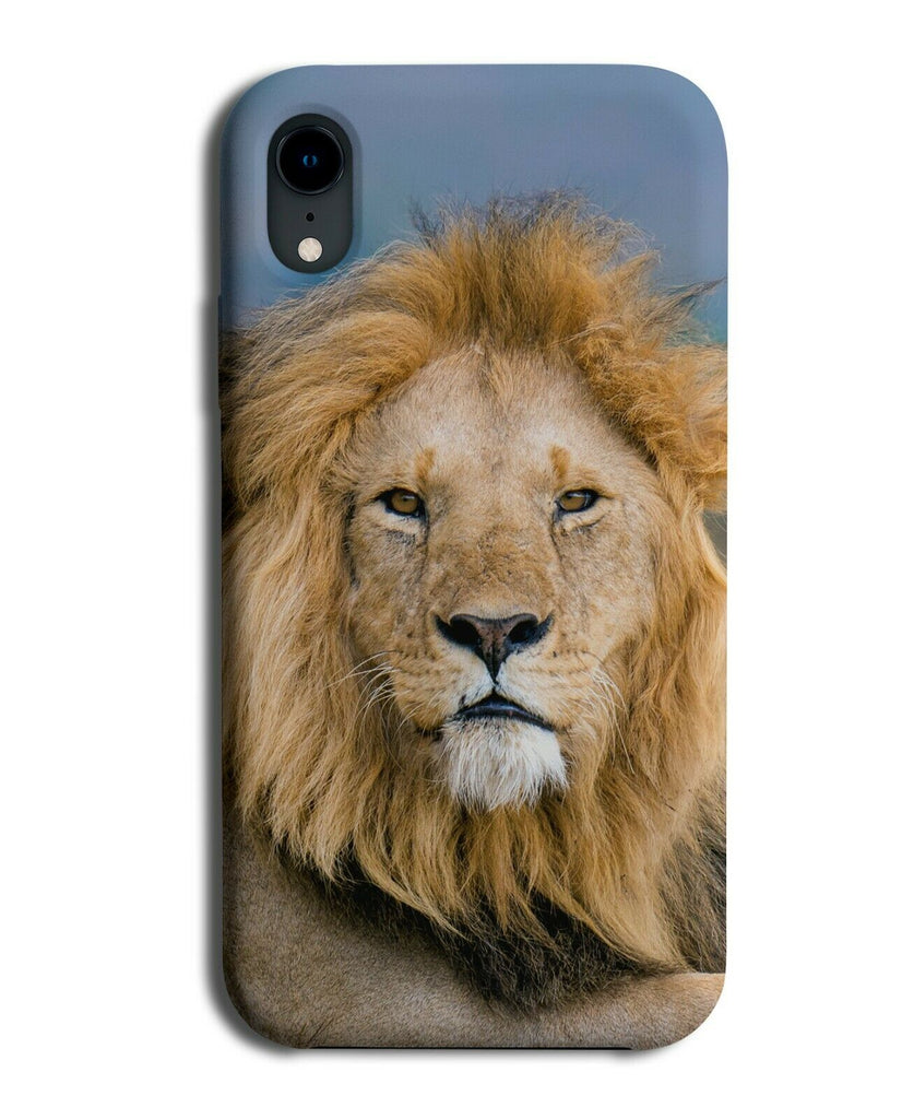 Laying Lion Picture Phone Case Cover Real Life Lions Face Head Mane Hair G763