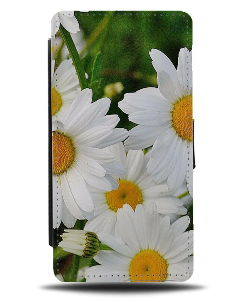 Daisy Photograph Print Flip Wallet Case Daisies Daisys Petal Petals Spring AN91