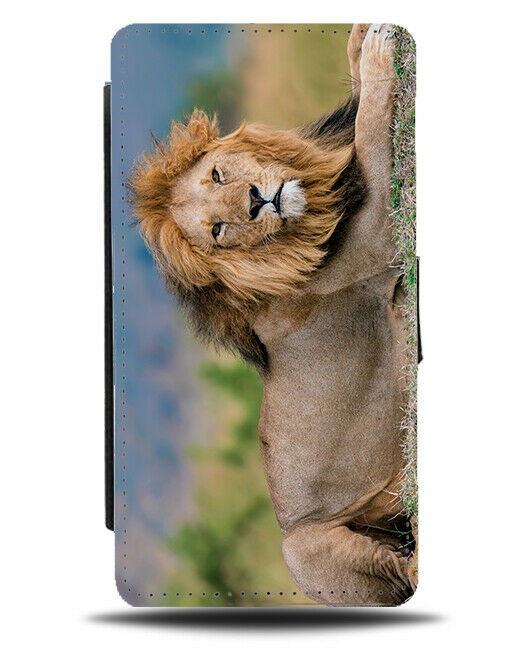 Laying Lion Picture Flip Wallet Case Real Life Lions Face Mane Fur Hair G763