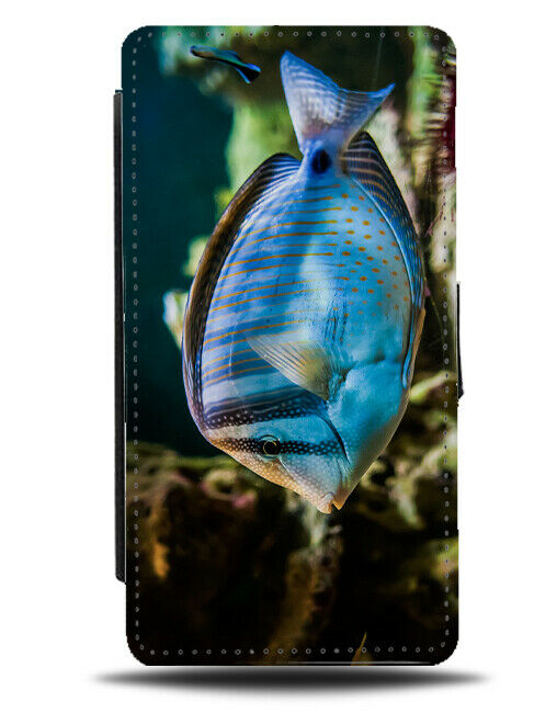 Large Flat Fish Underwater Picture Flip Wallet Case Photo Tropical Fishes H242