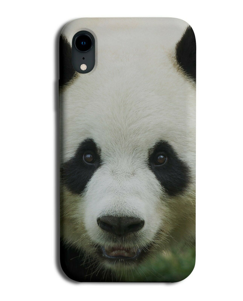 Funny Panda Close Up Phone Case Cover Giant Pandas Bear Face Image Pic G934