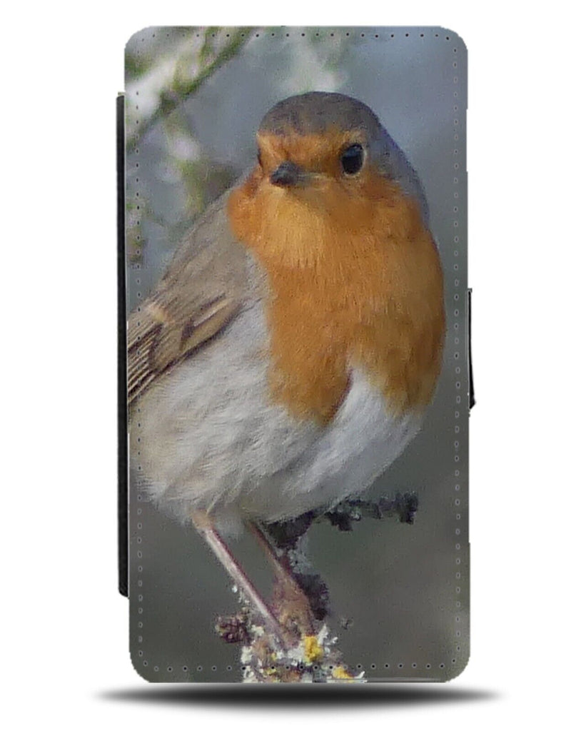 Robin Photograph Flip Wallet Case Photographed Photo Robins Bird Red Birdy CX41