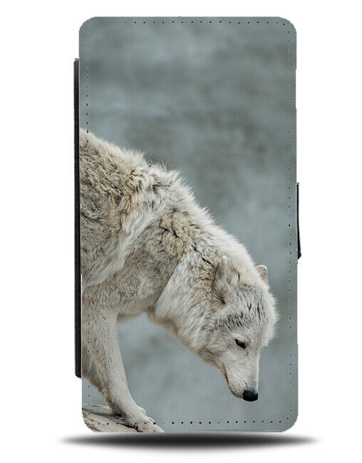 Artic Wolf Picture Flip Wallet Case Photo Image Photograph Wolves G950
