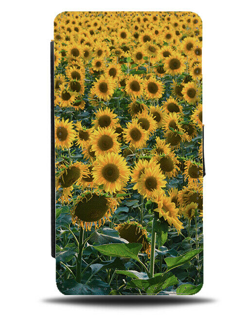 Sunflower Field Flip Wallet Phone Case Sunflowers Sun Flower Summer Yellow A648