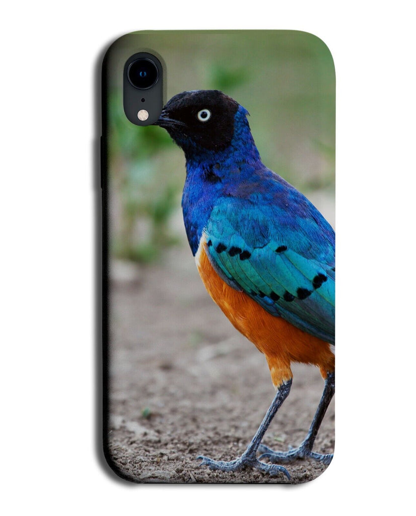Kingfisher Photograph Phone Case Cover Picture Photo King Fisher Bird Bree LP33