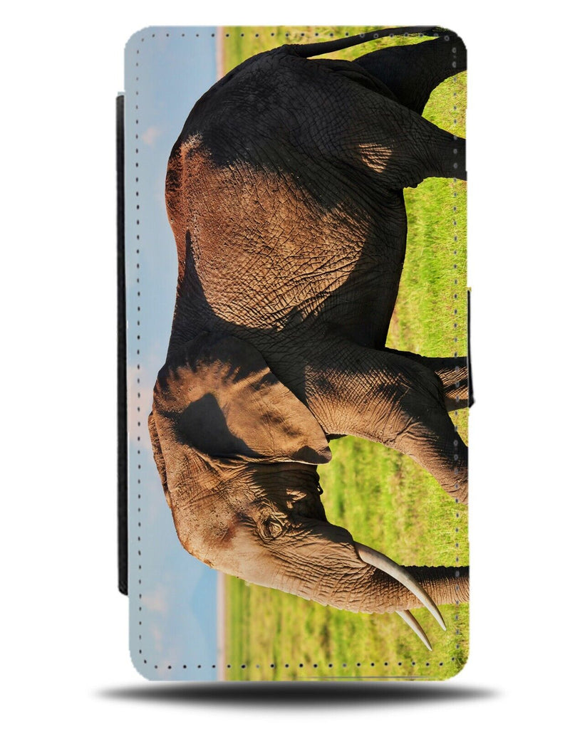 Walking Elephant In The Wild Photograph Flip Wallet Case Photography Animal BG61