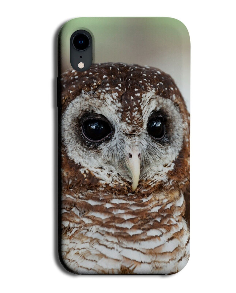 Tawny Owl Phone Case Cover Tawn Barn Owls Face Woodland Bird Birds Of Prey LP25