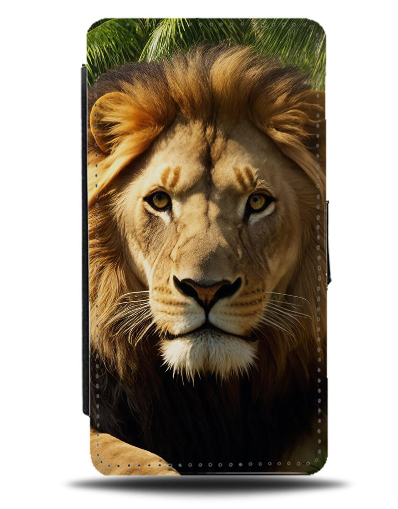 Lion Face Photograph Flip Wallet Case Photo Picture Lions African Male DH54